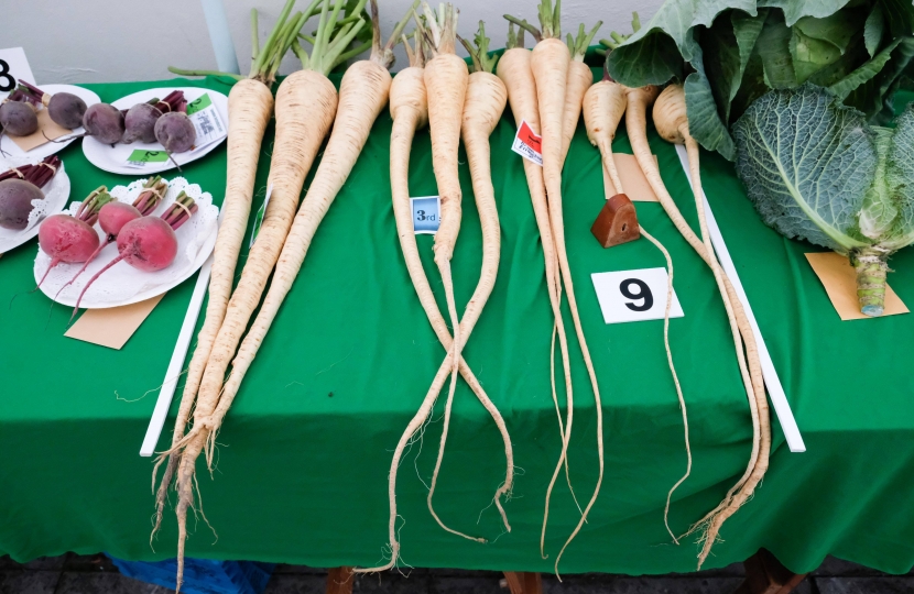 Pauline Latham OBE MP visits Spondon Horticultural Show