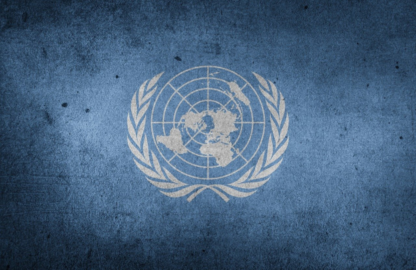 United Nations Logo