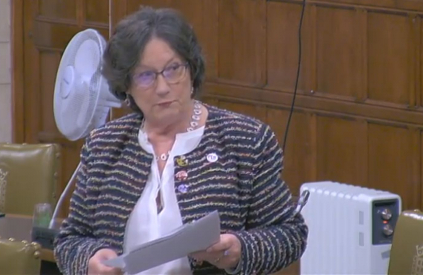 Pauline Latham OBE MP speaking in House of Commons