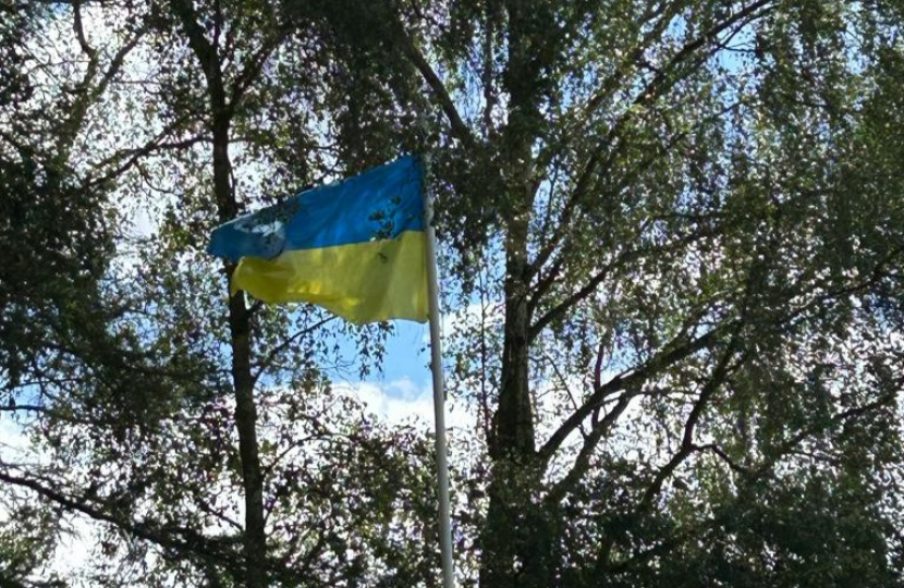 A Ukrainian flag flying within trees