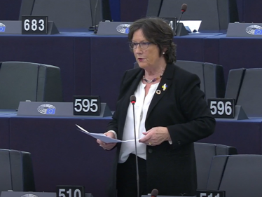 Pauline speaks at the Council of Europe